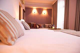 Отель Hotel Lion Sofia София Двухместный номер с 1 кроватью или 2 отдельными кроватями-2